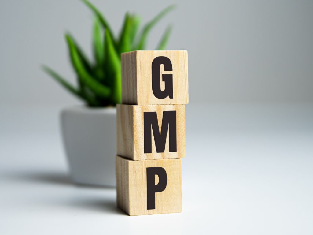 gmp