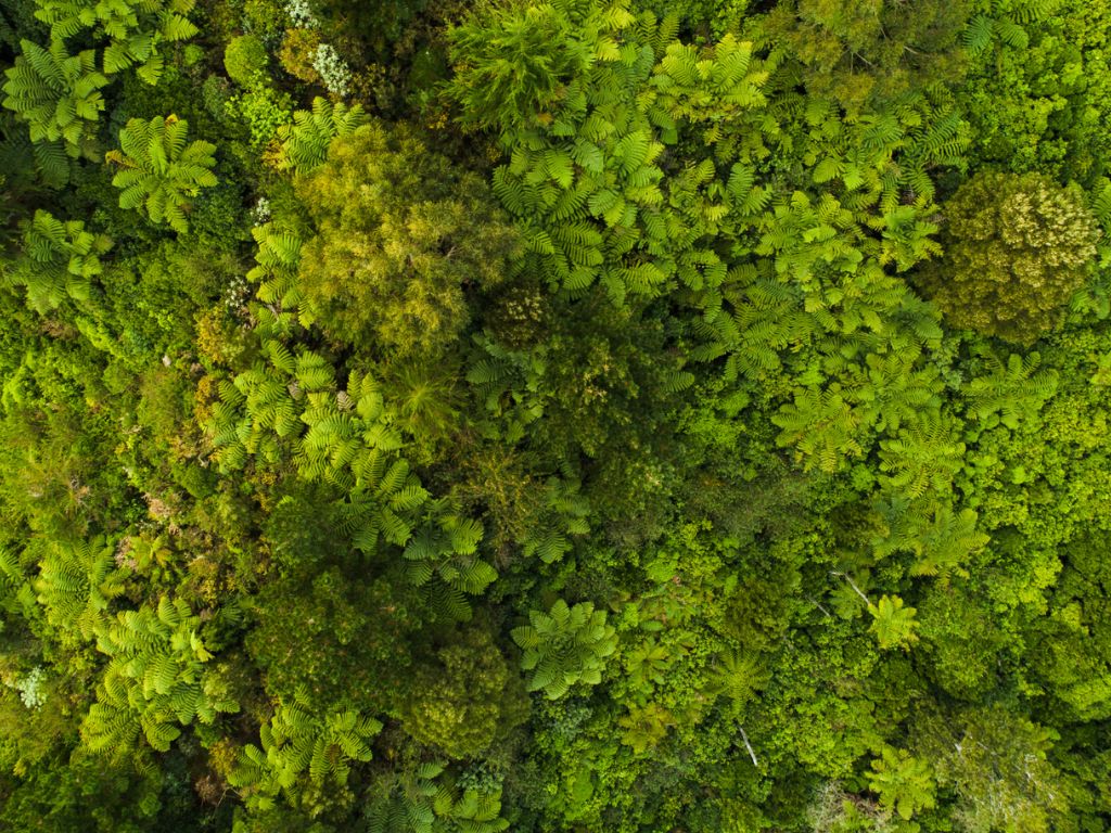 medio ambiente